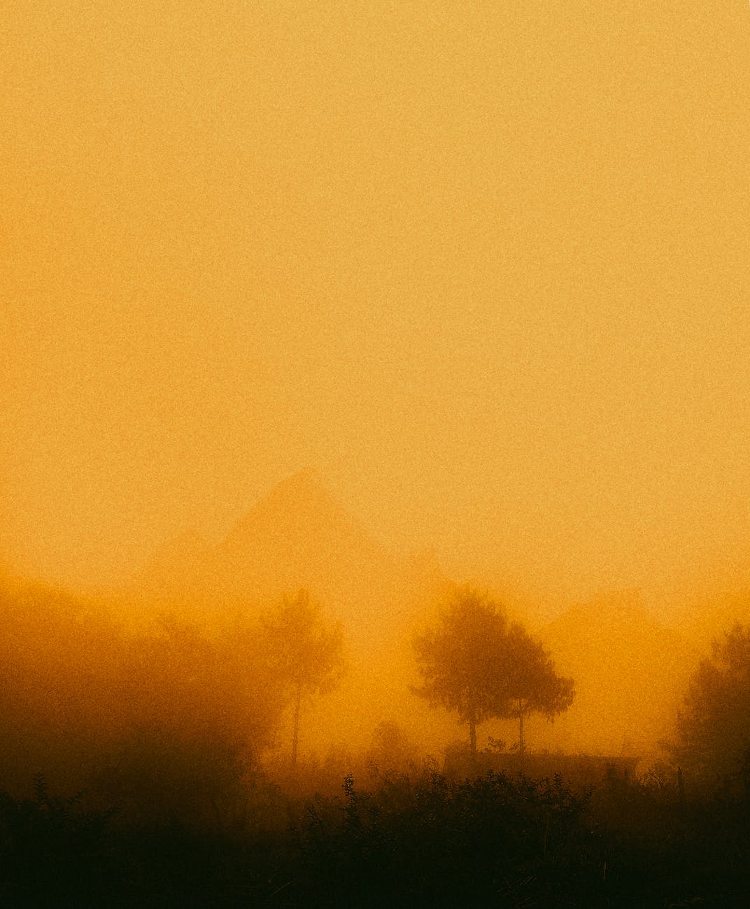 trees and mountains during sandstorm