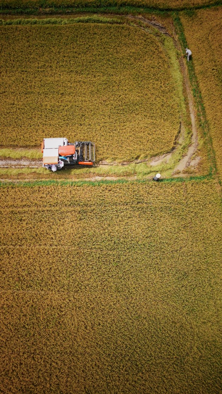 aerial view of harvesting tractor in rice field