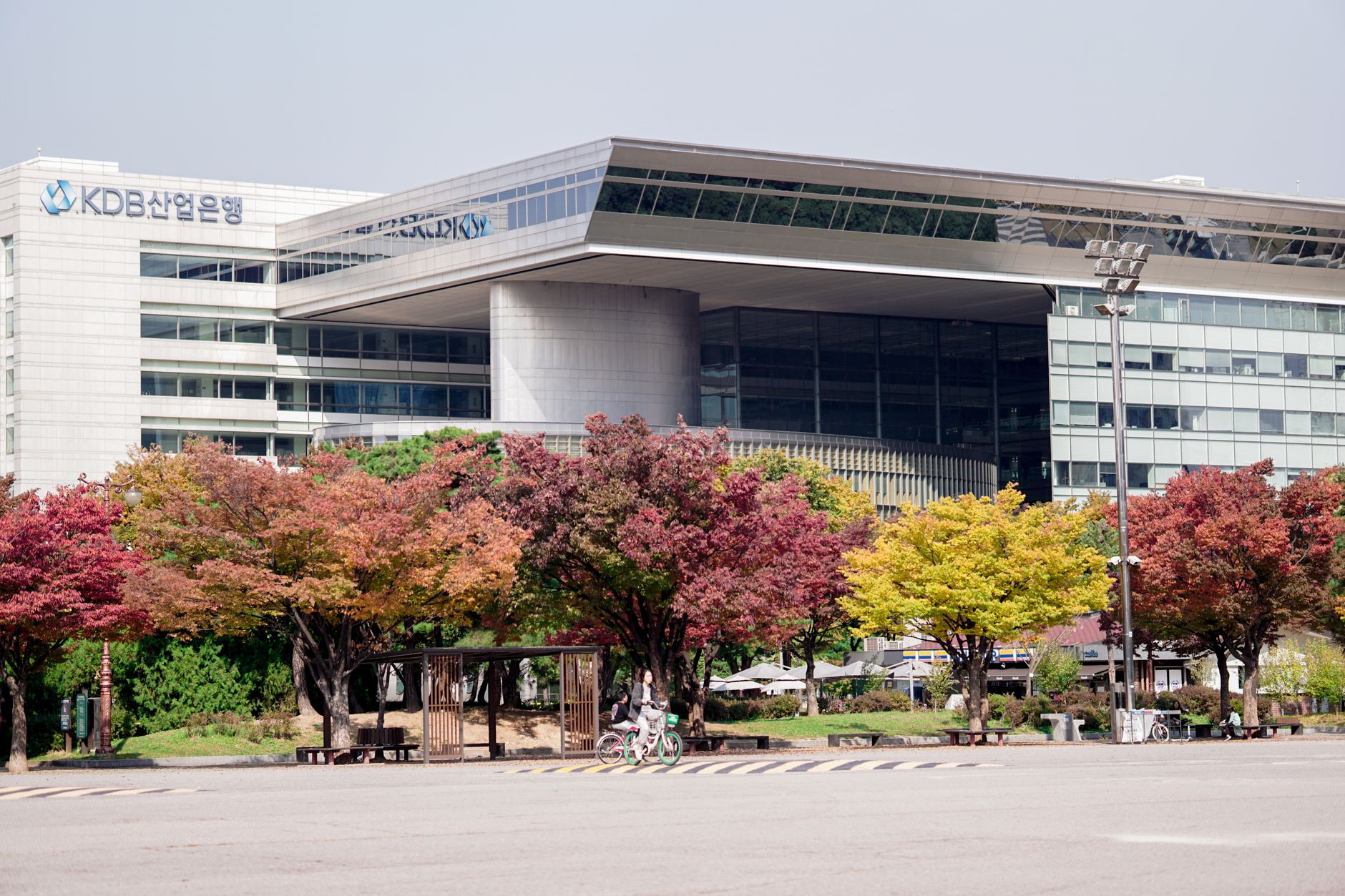 colorful trees near modern building